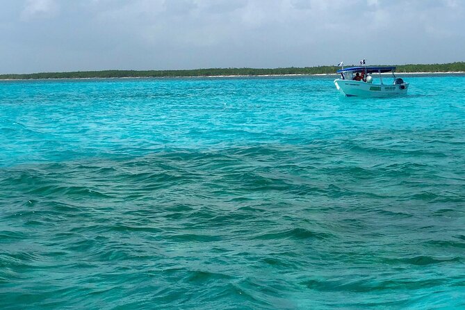Cozumel Snorkeling Tour: Palancar, Columbia and El Cielo Reefs - Meeting Point, Check-In, and Getting Ready Fast