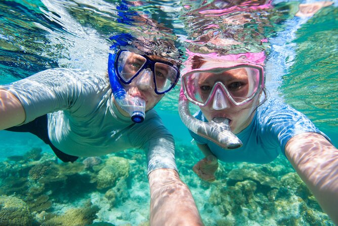 Cozumel Snorkeling Tour to Palancar Reef and El Cielo - Stop 1, Palancar Reef: where reef life does the talking