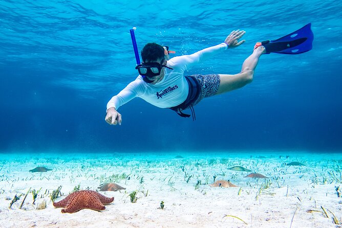 Cozumel Starfish and Tropical Reef Snorkeling by Powerboat with Lunch - Group size and guide attention: why this feels calmer in the water