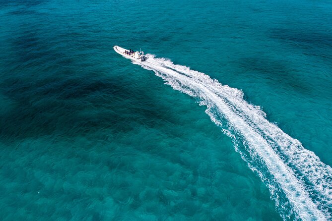 Cozumel Starfish and Tropical Reef Snorkeling by Powerboat with Lunch - Powerboat rides, comfort, and gear that helps you snorkel well