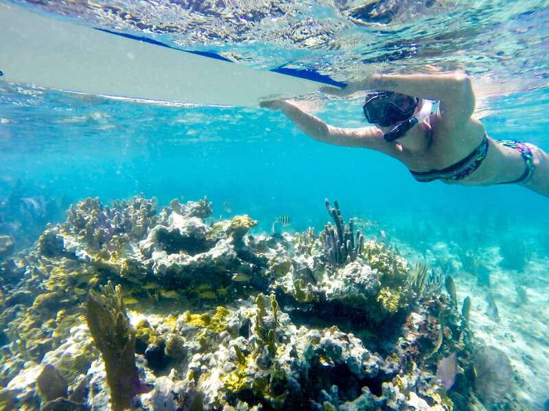 Cozumel: West Coast E-Bike and Snorkeling Tour - Meeting at Calle 5 Sur and 5th Av, then getting set up the right way