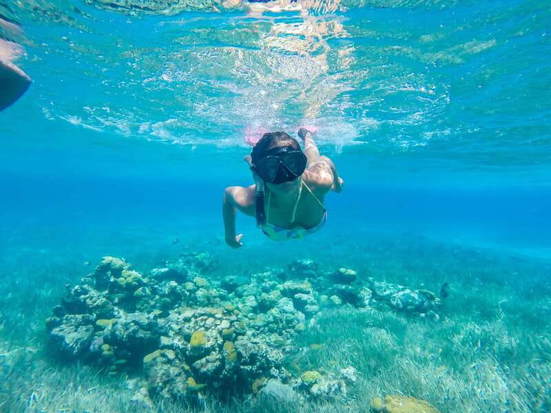 Cozumel: West Coast E-Bike and Snorkeling Tour - Mayan botanical garden: culture you can walk through, not just read about