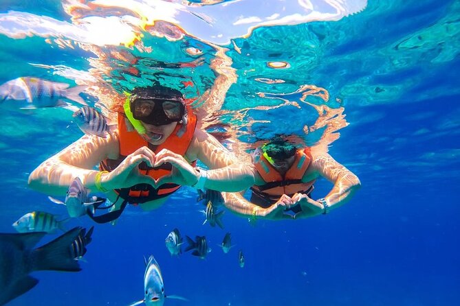 Crystal Boat Trip and Snorkeling Tour from Cozumel - Transparent-boat magic in Cozumel’s northern waters