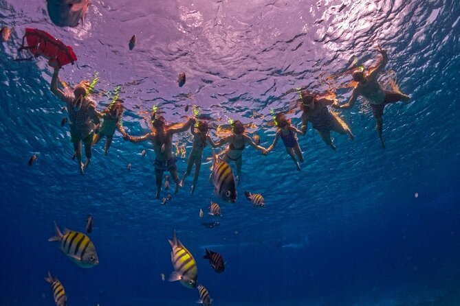 Crystal Boat Trip and Snorkeling Tour from Cozumel - Getting there from Centro, staying comfortable, and timing your day