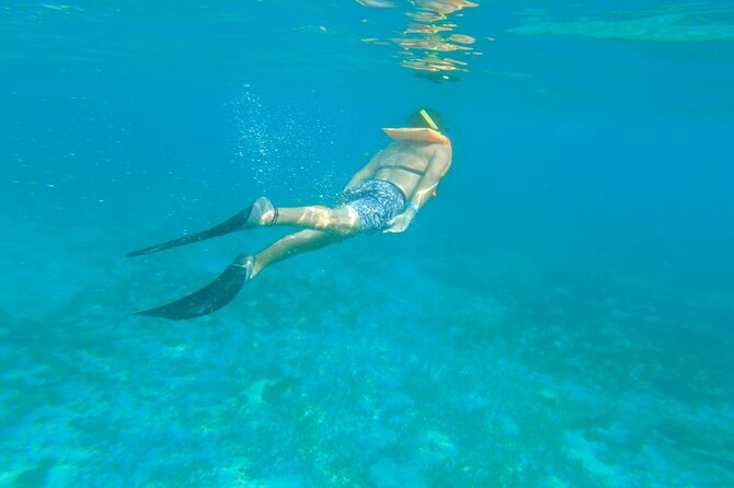 Dancer Cruise Isla Mujeres Snorkel Food and Drinks Included - Meals and open bar: why the price feels easier to swallow