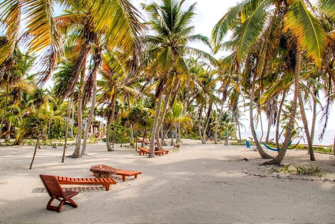 Day Pass to Private Clothing Optional Beach Resort in Xcalak - Price and logistics, without the stress