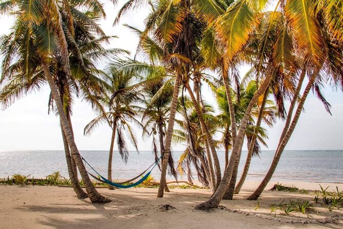 Day Pass to Private Clothing Optional Beach Resort in Xcalak - Your 5-hour window on the grounds