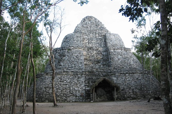 Day Trip to Tulum, Coba and Cenote Maya - Stop 4: Playa del Carmen and Quinta Avenida, your easy hour off