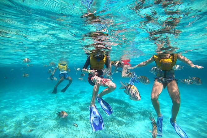 Deluxe Catamaran to Isla Mujeres with Open Bar from Cancun - The Snorkeling Stop: Gear, Sea Conditions, and Crowd Reality