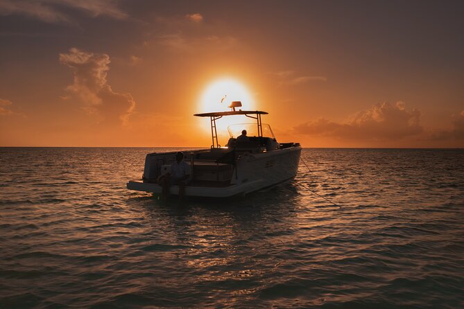 Deluxe Private Boats - 36 ft Fjord - Small-group comfort, private pacing, and what to expect on timing