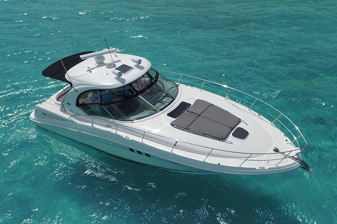 Deluxe Private Boats - 40 ft Sea Ray - Fresh ceviche lunch and an open bar, so nobody feels stuck waiting