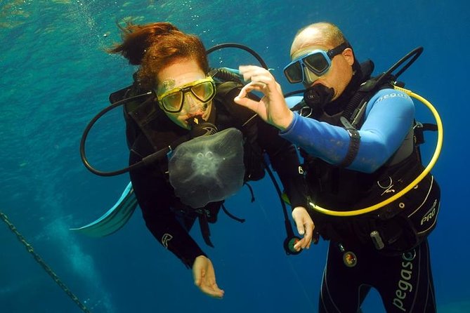 Discover Scuba - Key highlights worth knowing before you go