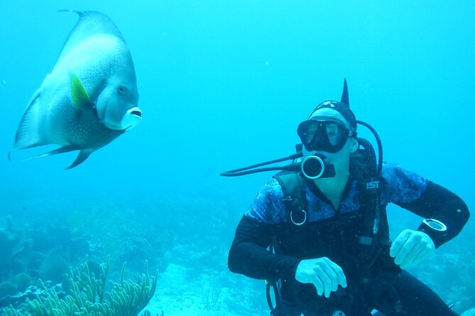 Discover Scuba - Itinerary flow: shallow practice first, then reef time