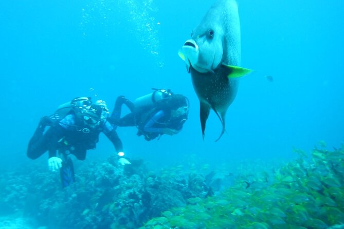 Discover Scuba - Value and pricing: what $140 buys you in real terms