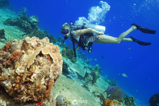 Discover Scuba Diving - Who guides you, and what kind of instruction you’ll feel