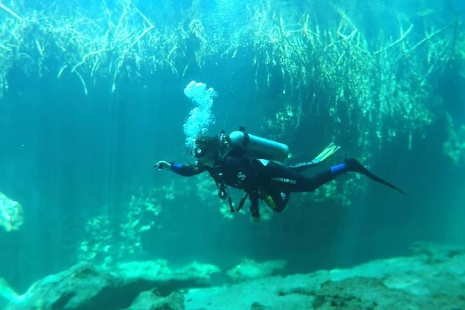 Discover Scuba Diving at Casa Cenote - Practical tips to help your first session go smoothly
