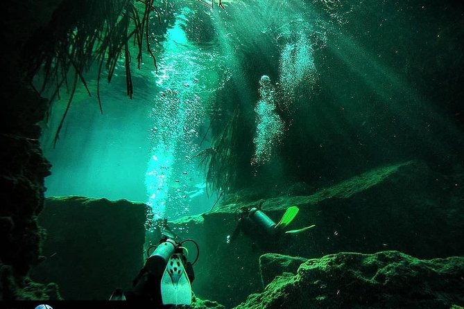 Discover Scuba Diving at Casa Cenote - What happens before you go in: theory, gear checks, and safety skills