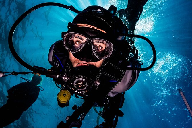 Discover Scuba Diving & Beach Club with Transportation In Riviera Maya - Who this tour is best for, and who should avoid it