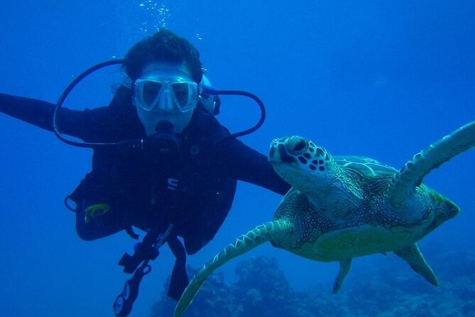 Discover Scuba Diving & Beach Club with Transportation In Riviera Maya - The biggest praised strengths: patience, calm instruction, and feeling safe