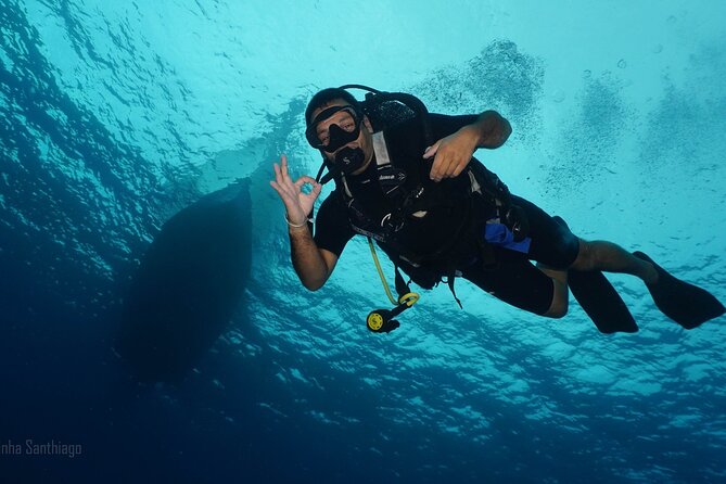Discover Scuba Diving in Cozumel - Your one guided underwater experience up to 20 feet