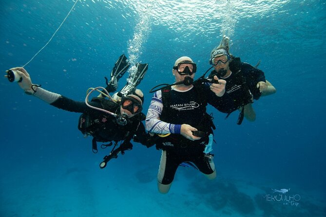 Discover Scuba Diving in Cozumel - Who should book this (and who should think twice)