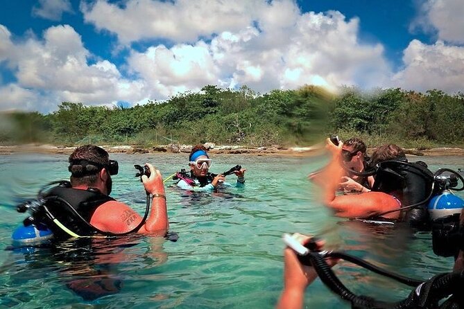 Discover Scuba Diving in Cozumel Paradise Reef - Shallow water practice on the beach: where you learn to feel in control