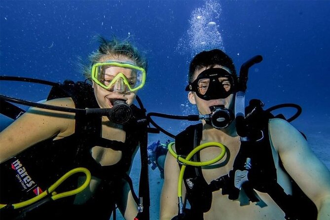 Discover Scuba Diving in Cozumel Paradise Reef - Between tanks: the 30-minute reset with fruit, cookies, and Gatorade