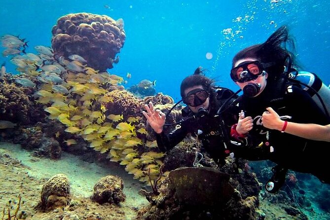 Discover Scuba Diving in Cozumel Paradise Reef - Equipment, fit, and coaching: what you’ll actually feel during the day