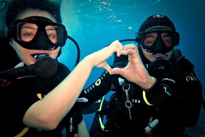 Discover Scuba Diving in Cozumel Paradise Reef - Marina Fonatur meeting point: cruise-friendly, but not terminal pickup