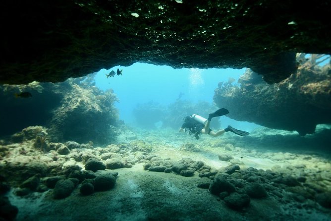 Discover Scuba Diving in Tulum - First-Time Scuba in Tulum: Why This Cenote Beat the Guesswork