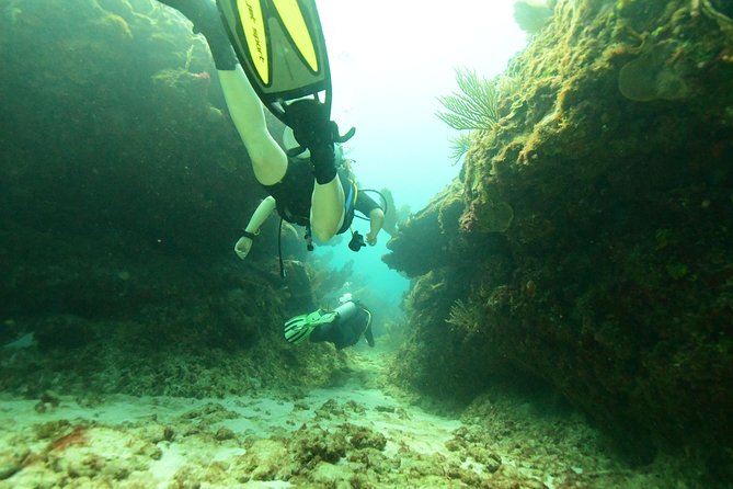 Discover Scuba Diving in Tulum - Underwater Time: 30 to 40 Minutes, With a Supervised Pace