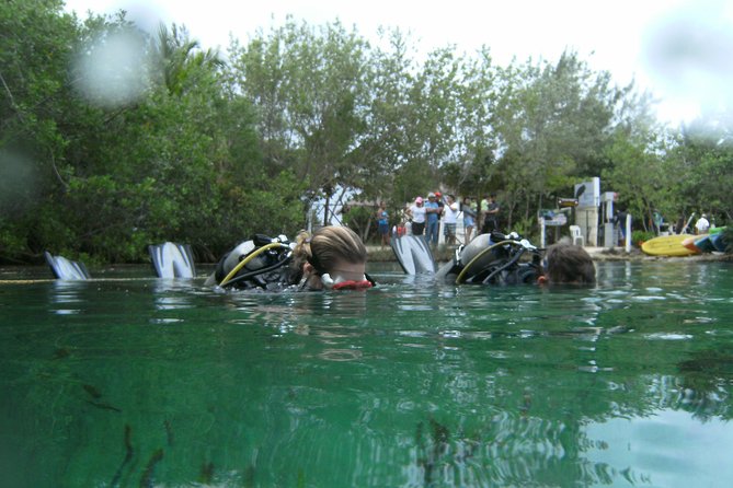 Discover Scuba Diving in Tulum - Guides Who Make It Calm, Plus Little Photo Moments