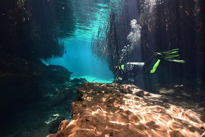 Discover Scuba Diving in Tulum - Weather Reality Check: When Conditions Change Your Sea Plan