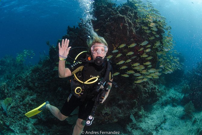 Discover scuba ,MUSA and Manchones reef dive without license - Underwater Museum (MUSA), Art That Becomes Part of the Sea