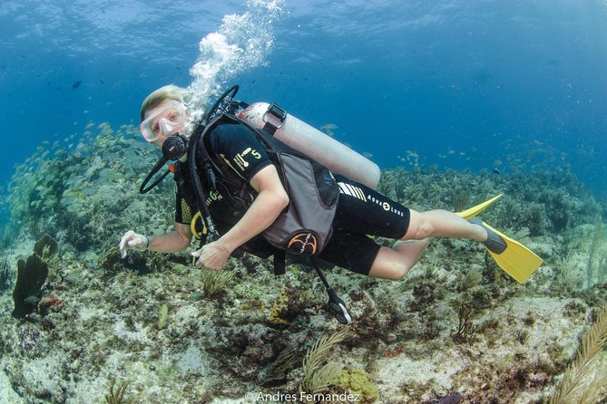 Discover scuba ,MUSA and Manchones reef dive without license - Instructor Quality, Why Names Matter Here