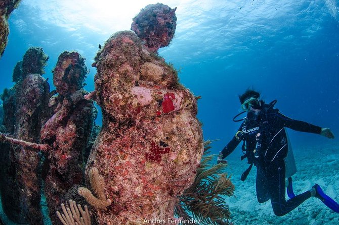 Discover scuba ,MUSA and Manchones reef dive without license - Price and Value, What $201.95 Really Covers