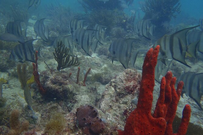 Discover Scuba - Instructor support and the calm that makes it click