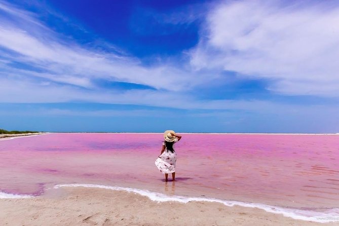 Discover the FABULOUS PINK WATERS at the Caribean (Las Coloradas+Río Lagartos) - Morning Pickup and the Long Cancun-to-Yucatán Transit Reality