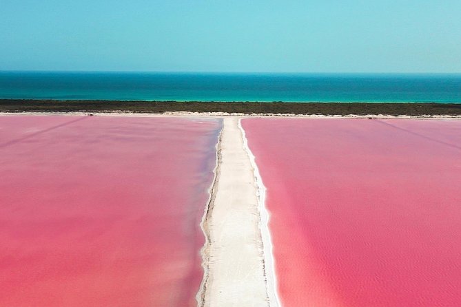 Discover the FABULOUS PINK WATERS in the Caribean - Lunch Break: Included Food, Vegetarian Options, and What to Expect
