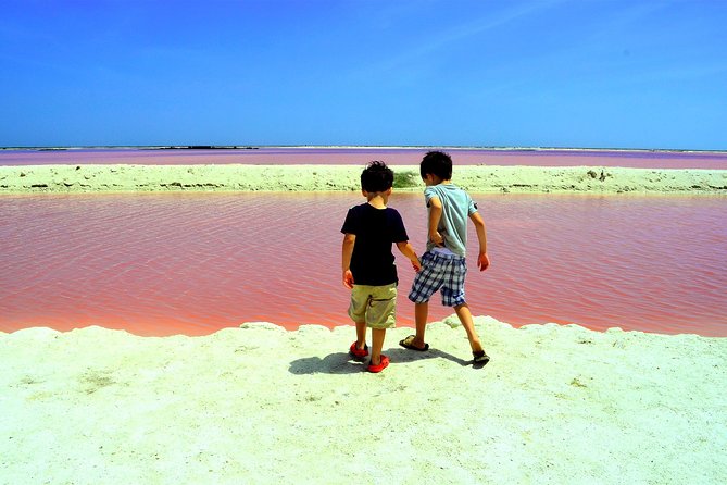 Discover the FABULOUS PINK WATERS in the Caribean - Stop 3: The Crocodile Farm Visit, Up Close and Controversial