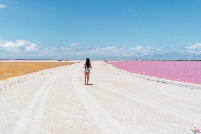 Discover the FABULOUS PINK WATERS in the Caribean - What to Pack for Pink Water, Boats, and Crocs