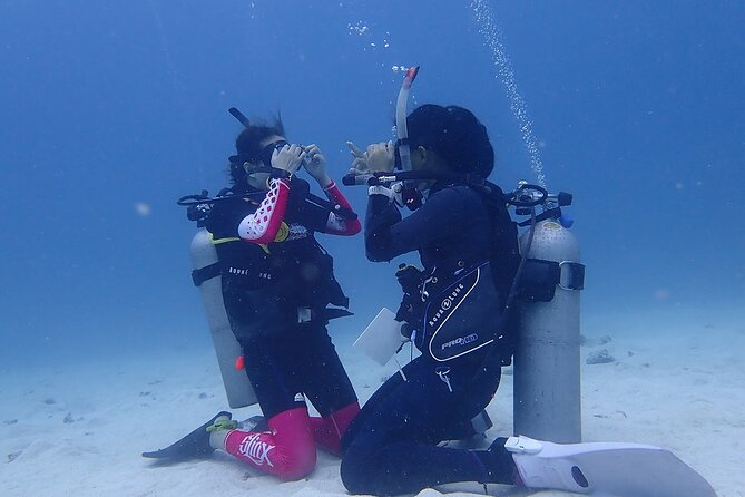 Discovery Scuba Dive. - What You’ll See: Coral, Tropical Fish, and a Real Reef Moment