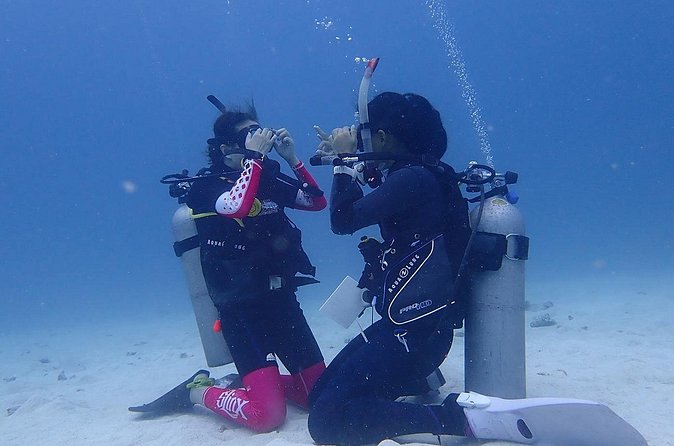 Discovery Scuba Dive. - Pace, Group Size, and the Human Support That Makes This Work