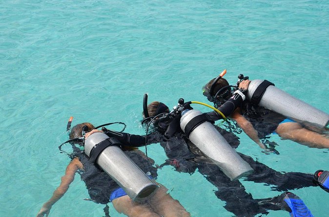 Discovery Scuba Dive. - Gear, Cameras, and Practical Packing Tips