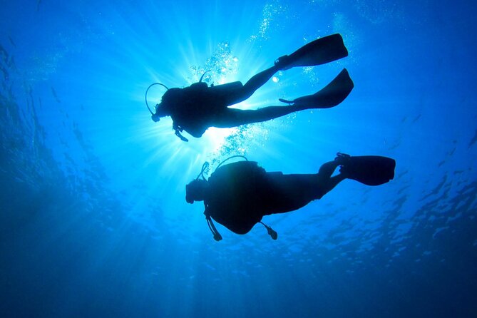 Discovery Scuba Dive. - Meeting at Doctor Dive Costa Maya: Where You Start Matters