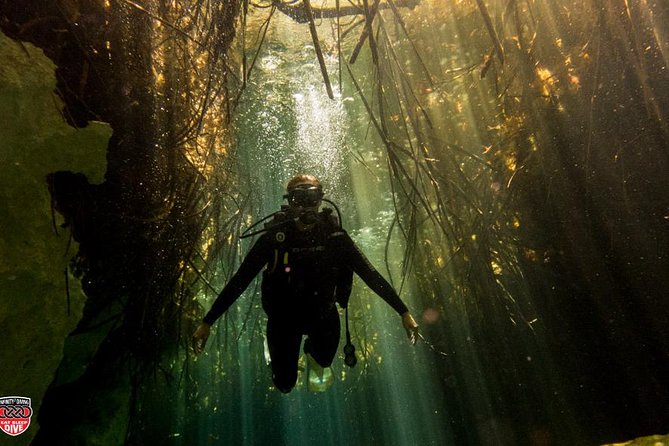 Discovery Scuba Diving !! - Meeting points in Puerto Morelos, and why they matter