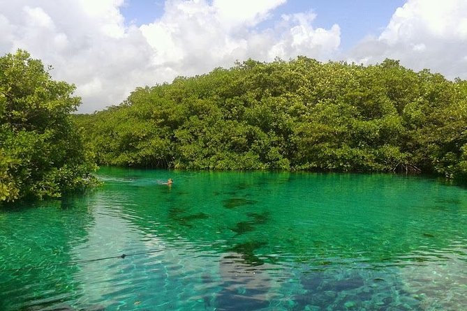 Discovery Scuba Diving !! - Small group size, English coaching, and a calmer pace