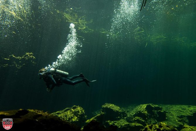 Discovery Scuba Diving !! - Pool training first, so you can relax