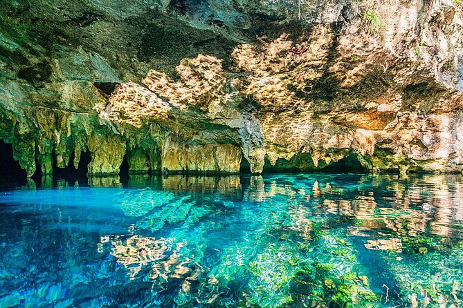 Dive into Tulum: Tour 3 Cenotes, from Riviera Maya - Stop 3: Sombra cenote, the mysterious finish