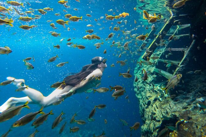 Dive into Tulum: Tour 3 Cenotes, from Riviera Maya - Price and the $29 preservation fee you must budget for